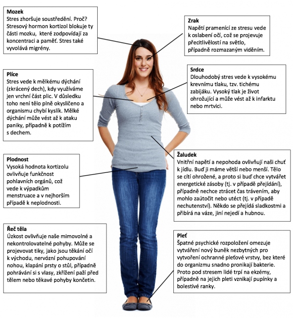 Jak se projevuje stres?