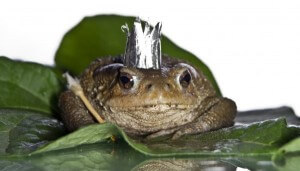 psychologie osobnosti - Jaké existují nevědomé programy? Mužské archetypy